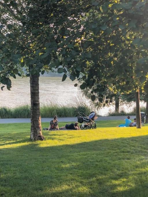 Stylish Getaway In Prime Bratislava Location - By The Danube And Old Town Leilighet Eksteriør bilde