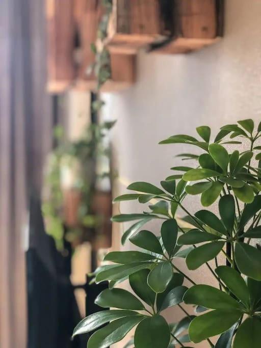 Stylish Getaway In Prime Bratislava Location - By The Danube And Old Town Leilighet Eksteriør bilde